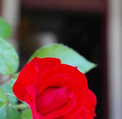 Vendégház Il Cammino 3*