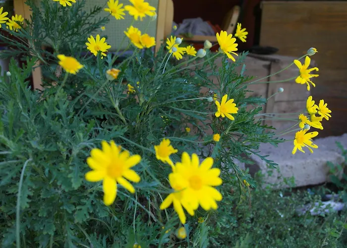 Vendégház Il Cammino San Vito al Torre